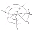 Spider Silk